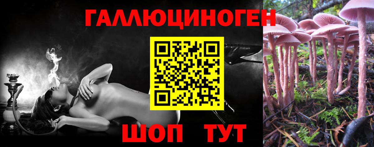 дарнет шоп  Вход с VPN  Усть-Кут  Галлюциногенные грибы Magic Shrooms  Галлюциногенные грибы Magic Shrooms 